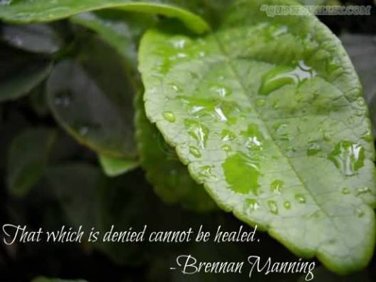 that-which-is-denied-cannot-be-healed