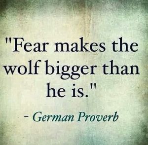 7b631134184eee71d75482969ad1f106